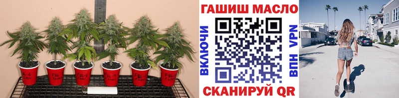 Дистиллят ТГК жижа  Купить где  Новоульяновск 